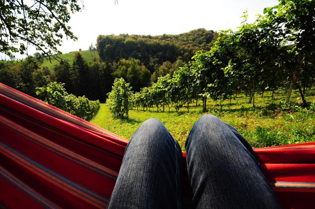 Weingut Winzerzimmer Rothschaedl Leutschach Zewnętrze zdjęcie