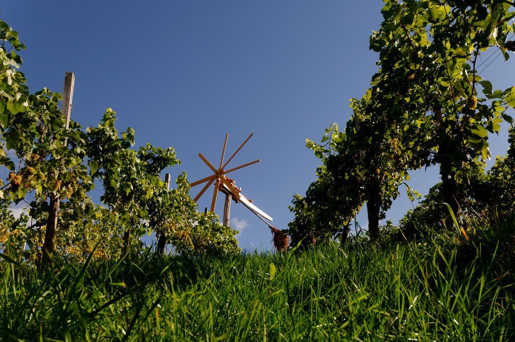 Weingut Winzerzimmer Rothschaedl Leutschach Zewnętrze zdjęcie
